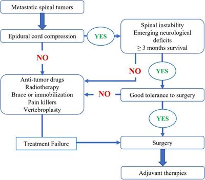 Surgery for metastatic spinal differentiated thyroid cancer: feasibility, outcome, and prognostic factors